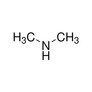 Molecular Structure of Dimethylamine Molecular Structure of Dimethylamine