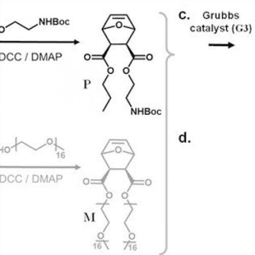 Protected PEG Intermediates: Benzyl & Phenyl PEG Derivatives | GOTATI Chemical
