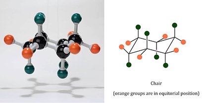 Cyclohexane's chair conformation