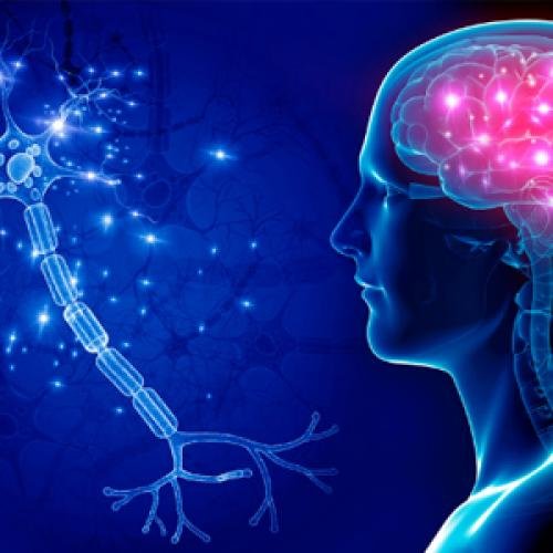 CNS Drug Intermediates for API Synthesis | GOTATI Chemical