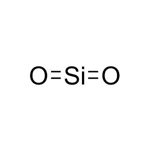 Molecular Structure of Precipitated Silica