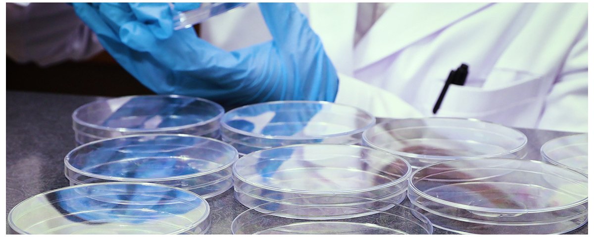 The development of DMSO alternatives with lower toxicity is a growing focus the-development-of-dmso-alternatives-with-lower-toxicity-is-a-growing-focus.jpg