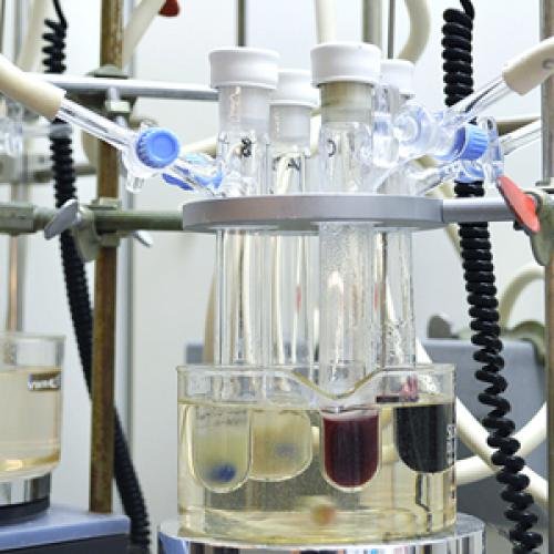 Metal Triflates as Lewis Acid Catalysts in Organic Synthesis