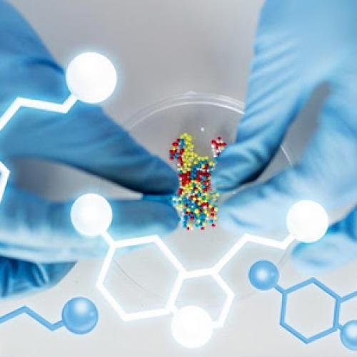 Piperazine and Piperidine Intermediates for Pharmaceutical Synthesis | GOTATI Chemical